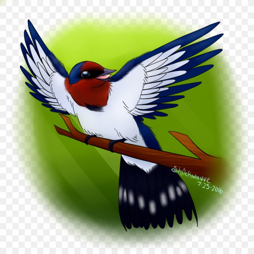 Beak, PNG, 894x894px, Beak, Bird, Fauna, Wing Download Free