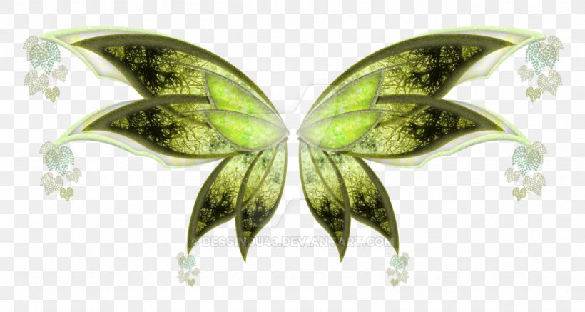 Moth Leaf, PNG, 1024x546px, Moth, Butterfly, Insect, Invertebrate, Leaf Download Free
