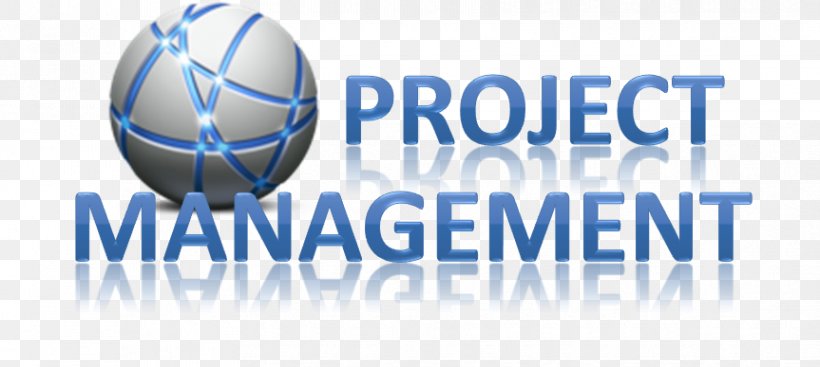Project Management Office Project Planning, PNG, 863x387px, Management, Ball, Brand, Business, Goal Download Free