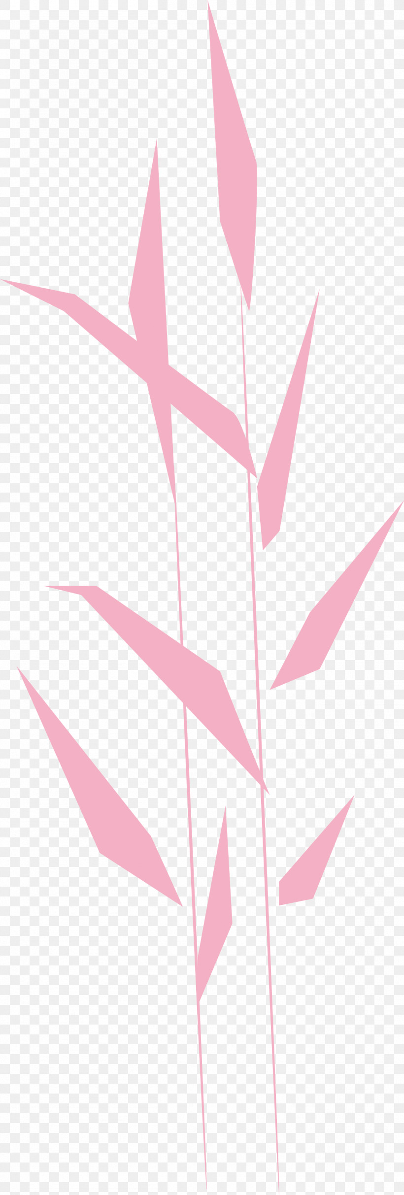Angle Line Pattern Pink M M-tree, PNG, 1306x3864px, Angle, Leaf, Line, Meter, Mtree Download Free