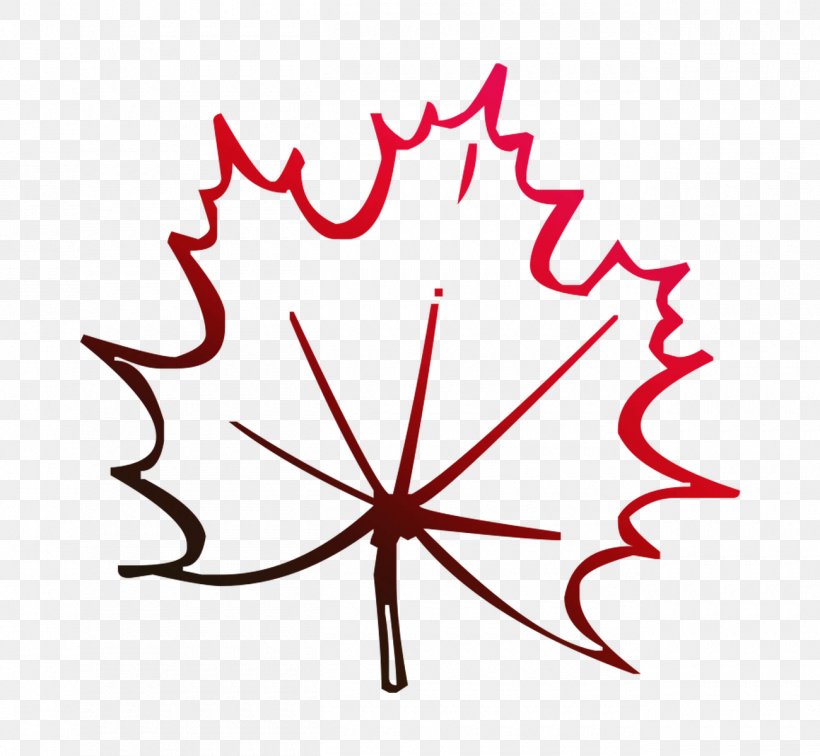 Maple Leaf Clip Art Line Point, PNG, 1300x1200px, Maple Leaf, Leaf, Plant, Point, Tree Download Free