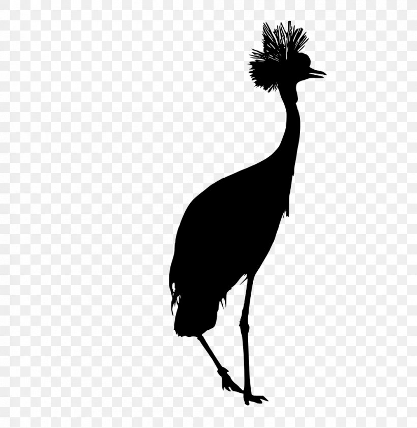 Bird Beak Flightless Bird Crane-like Bird Emu, PNG, 998x1024px, Bird, Beak, Crane, Cranelike Bird, Emu Download Free