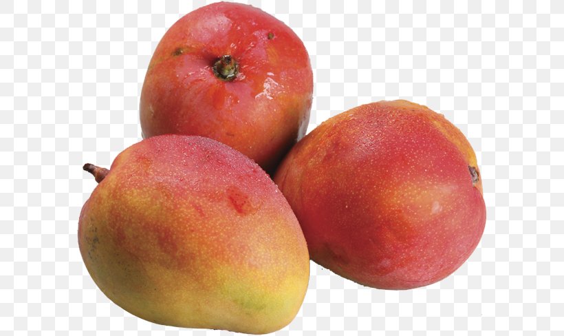 Mango Fruit Tommy Atkins Guava Food, PNG, 597x488px, Mango, Apple, Avocado, Carambola, Food Download Free