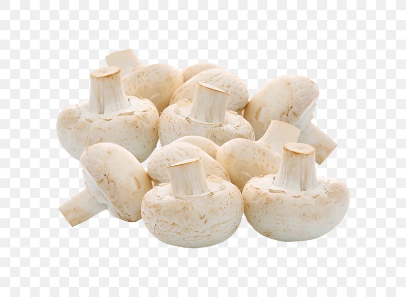 Common Mushroom Fungus REWE Pleurotus Eryngii Online Grocer, PNG, 600x600px, Common Mushroom, Agaricaceae, Agaricomycetes, Agaricus, Champignon Mushroom Download Free