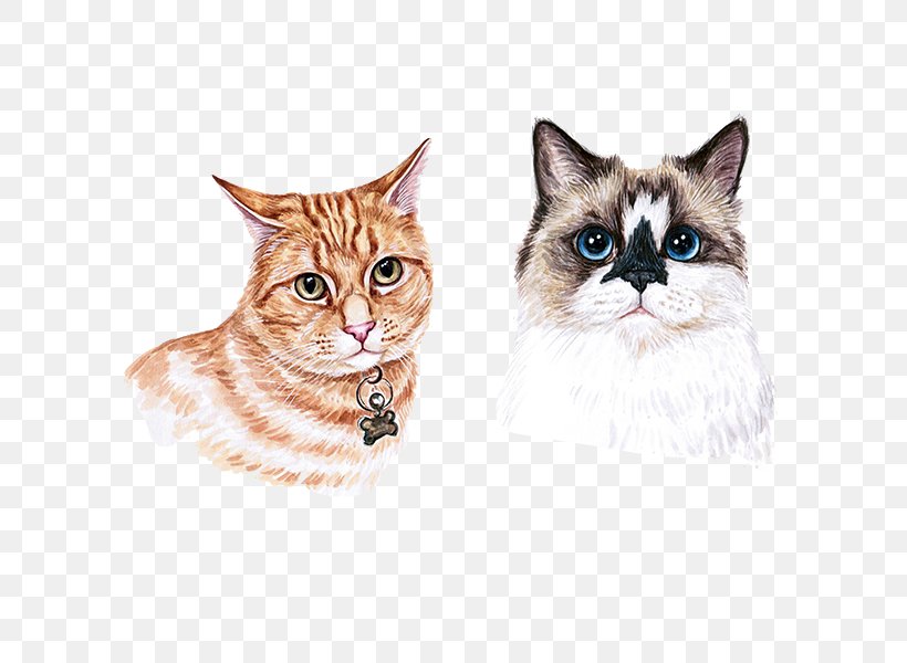 Munchkin Cat Kitten Watercolor Painting, PNG, 600x600px, Munchkin Cat, American Wirehair, Animal, Asian, Carnivoran Download Free