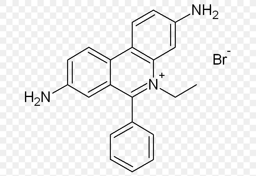 Safranin Ethidium Bromide Phenolphthalein Nucleic Acid Chemical Compound, PNG, 712x564px, Safranin, Acridine, Acridine Orange, Area, Black And White Download Free
