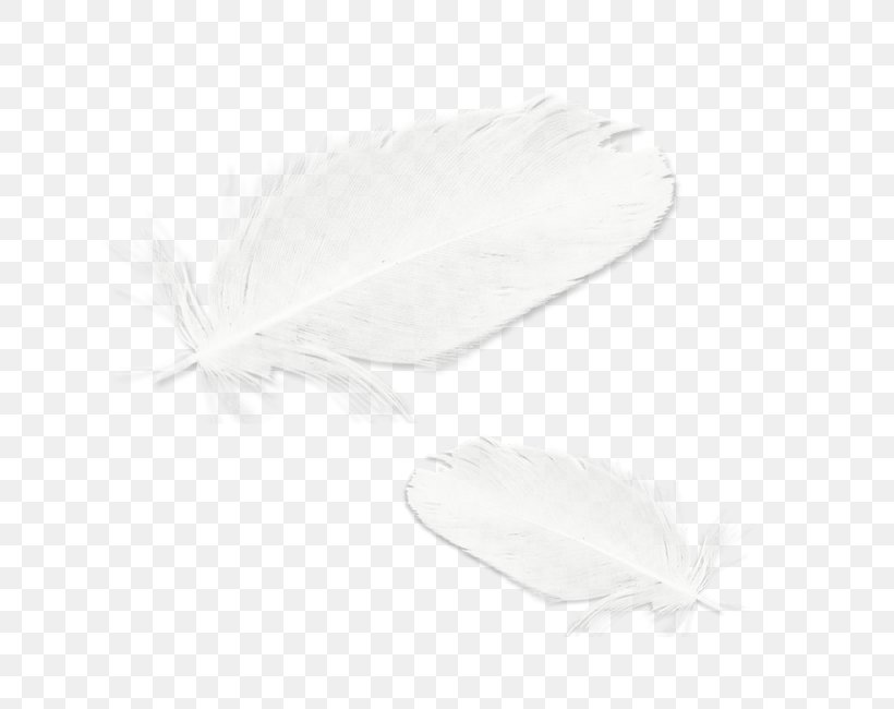 Unleash The Romance Black And White Paperback Feather, PNG, 650x650px, Unleash The Romance, Black, Black And White, Feather, Material Download Free