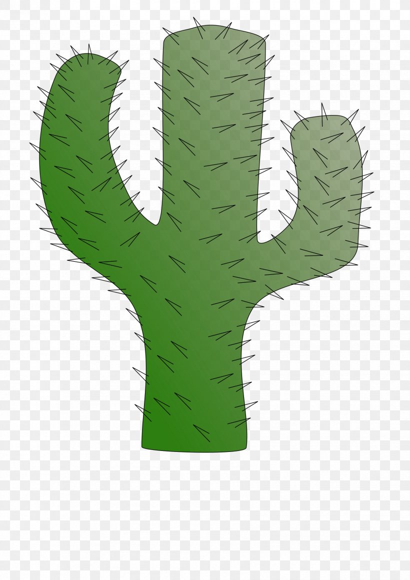 Cactaceae Saguaro Succulent Plant Clip Art, PNG, 1697x2400px, Cactaceae, Botany, Cactus, Caryophyllales, Desert Download Free