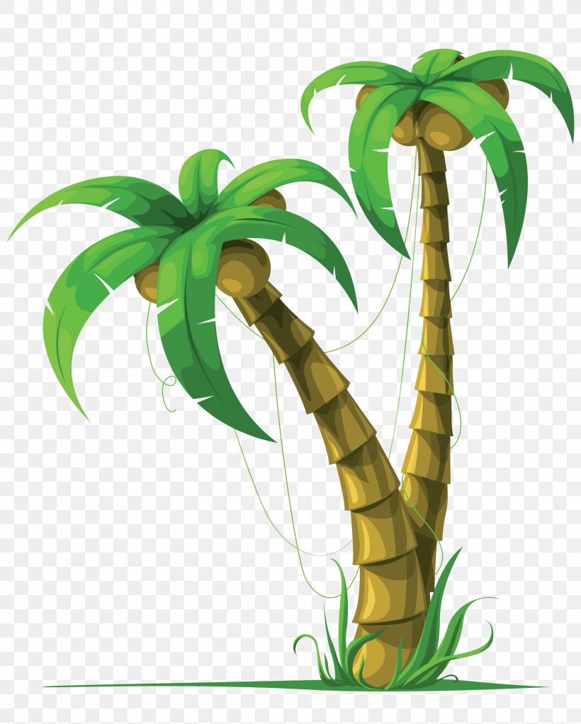 Coconut Arecaceae Tree Clip Art, PNG, 2480x3092px, Coconut, Arecaceae, Arecales, Drawing, Flora Download Free