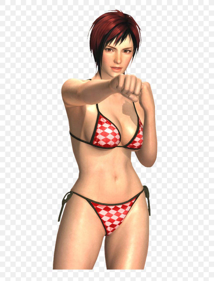Dead Or Alive 5 Last Round Dead Or Alive 5 Ultimate Dead Or Alive Xtreme 3, PNG, 744x1074px, Watercolor, Cartoon, Flower, Frame, Heart Download Free