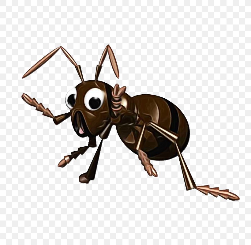 Fire Cartoon, PNG, 800x800px, Ant, Animal Figure, Animation, Bee, Black Garden Ant Download Free