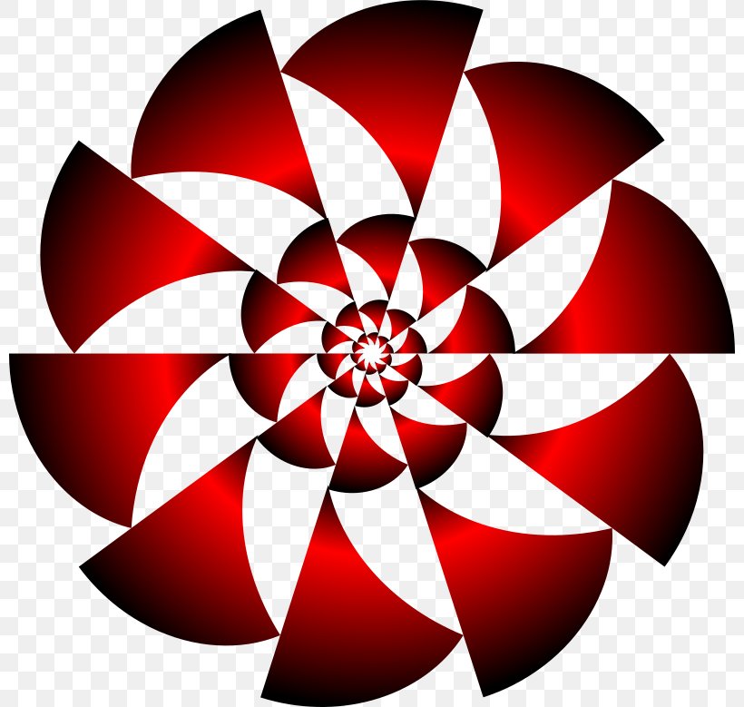 Rotational Symmetry Reflection Symmetry Mathematics, PNG, 800x779px, Rotational Symmetry, Flora, Floral Symmetry, Flower, Flowering Plant Download Free