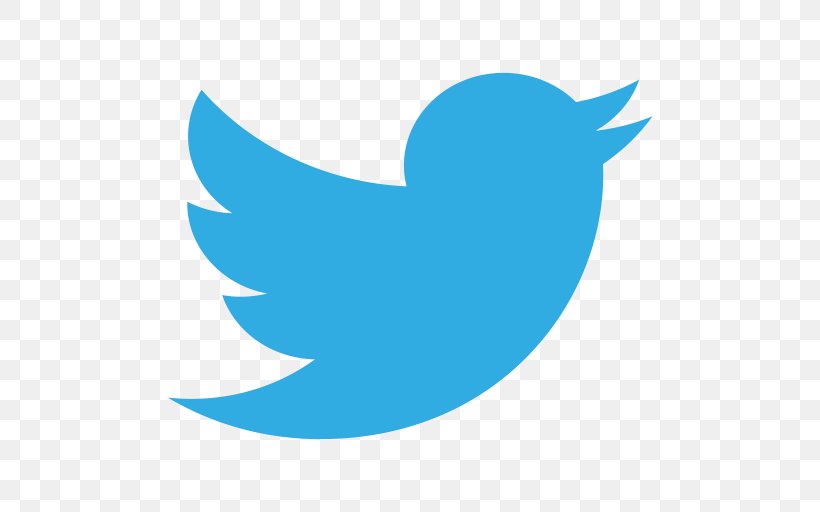 Social Media Logo, PNG, 512x512px, Social Media, Aqua, Azure, Beak, Bird Download Free