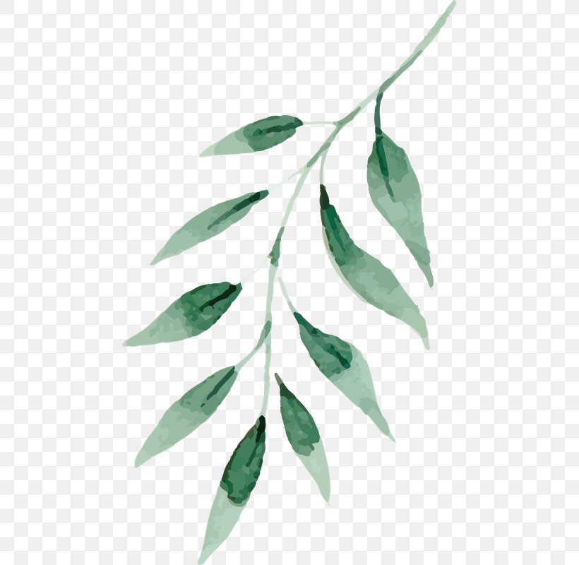 Watercolor Painting Vector Graphics Leaf Green, PNG, 473x800px ...