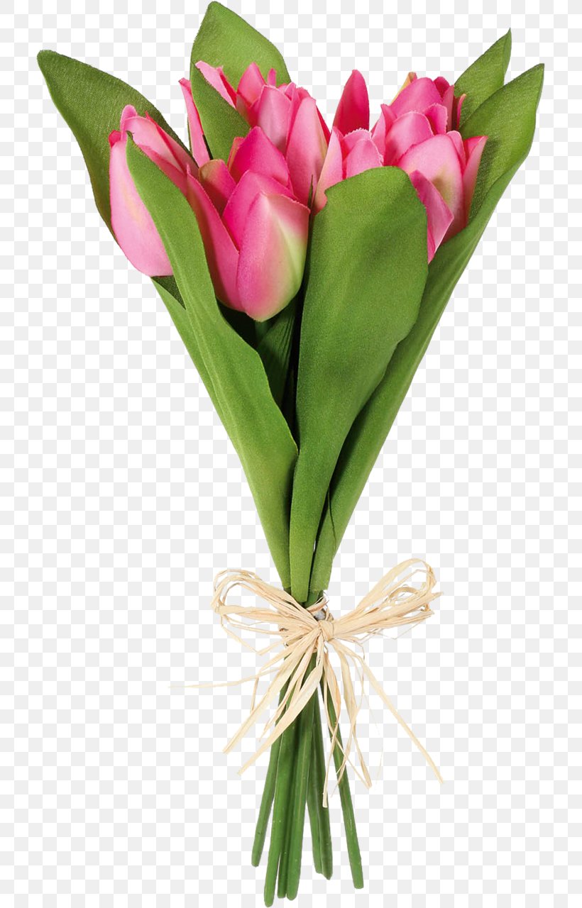 Flower Green Tulip, PNG, 717x1280px, Flower, Color, Cut Flowers, Floral Design, Floristry Download Free