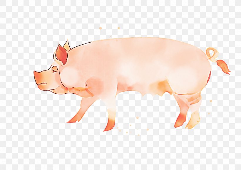 Pig Cartoon, PNG, 1024x724px, Silhouette, Animal, Animal Figure, Avatar, Boar Download Free