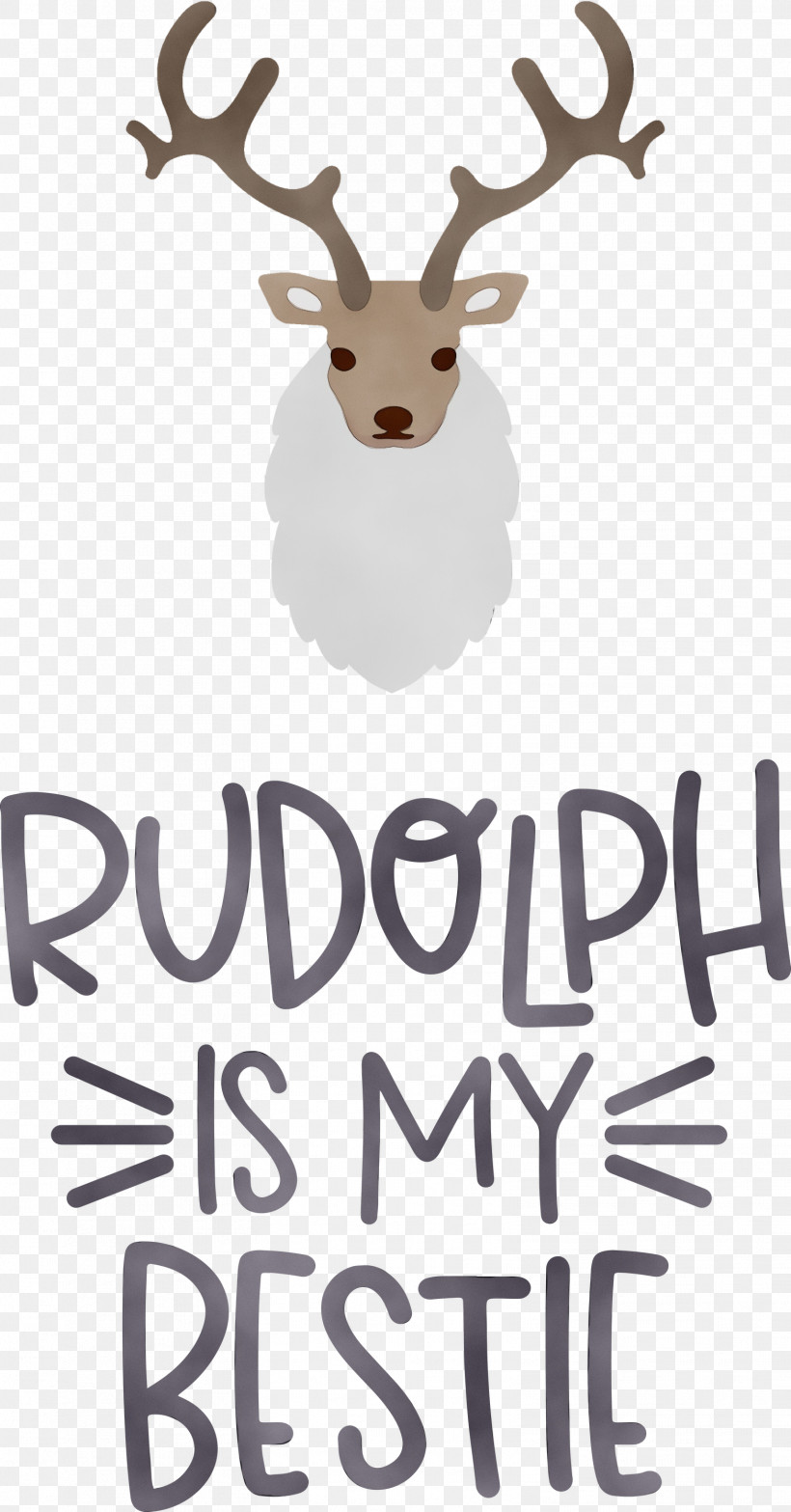 Reindeer, PNG, 1569x2999px, Rudolph Is My Bestie, Antler, Christmas, Deer, Meter Download Free