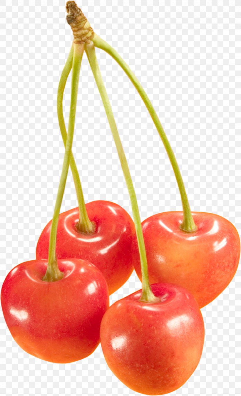 Sweet Cherry Cerasus Clip Art, PNG, 973x1600px, Sweet Cherry, Cerasus, Cherry, Devil, Diet Food Download Free