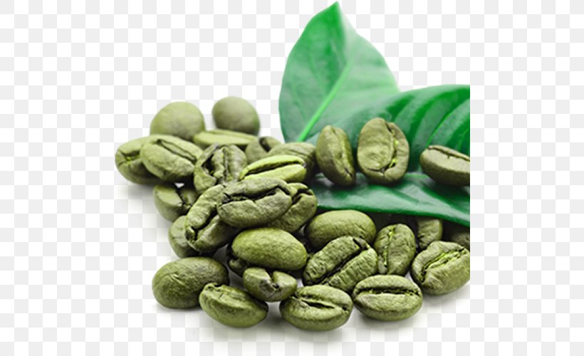 Instant Coffee Green Tea Green Coffee Extract Coffee Bean, PNG, 500x500px, Coffee, Arabica Coffee, Bean, Chlorogenic Acid, Coffee Bean Download Free