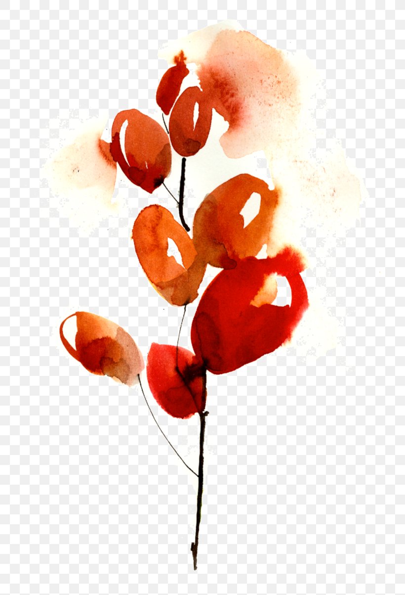 Ostia Fruit Petal Watercolor Painting Cut Flowers, PNG, 778x1203px, Ostia, Coquelicot, Cut Flowers, Flower, Flowering Plant Download Free