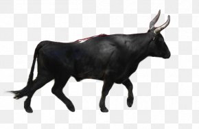 Taureau - Spanish Fighting Bull Camargue Cattle Ox Taurus PNG