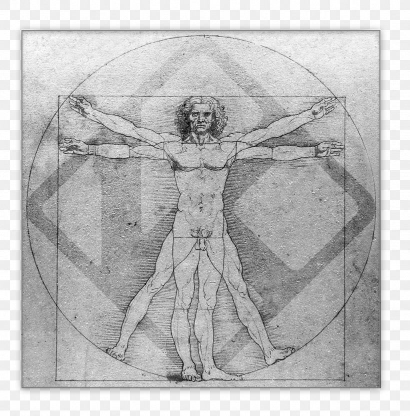 Vitruvian Man Italian Renaissance Polymath Leonardo Da Vinci: Sketches & Drawings, PNG, 1024x1038px, Vitruvian Man, Art, Artwork, Black And White, Body Proportions Download Free