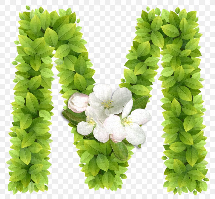 Alphabet Letter M, PNG, 895x828px, Alphabet, Cut Flowers, Flower, French Alphabet, Grass Download Free