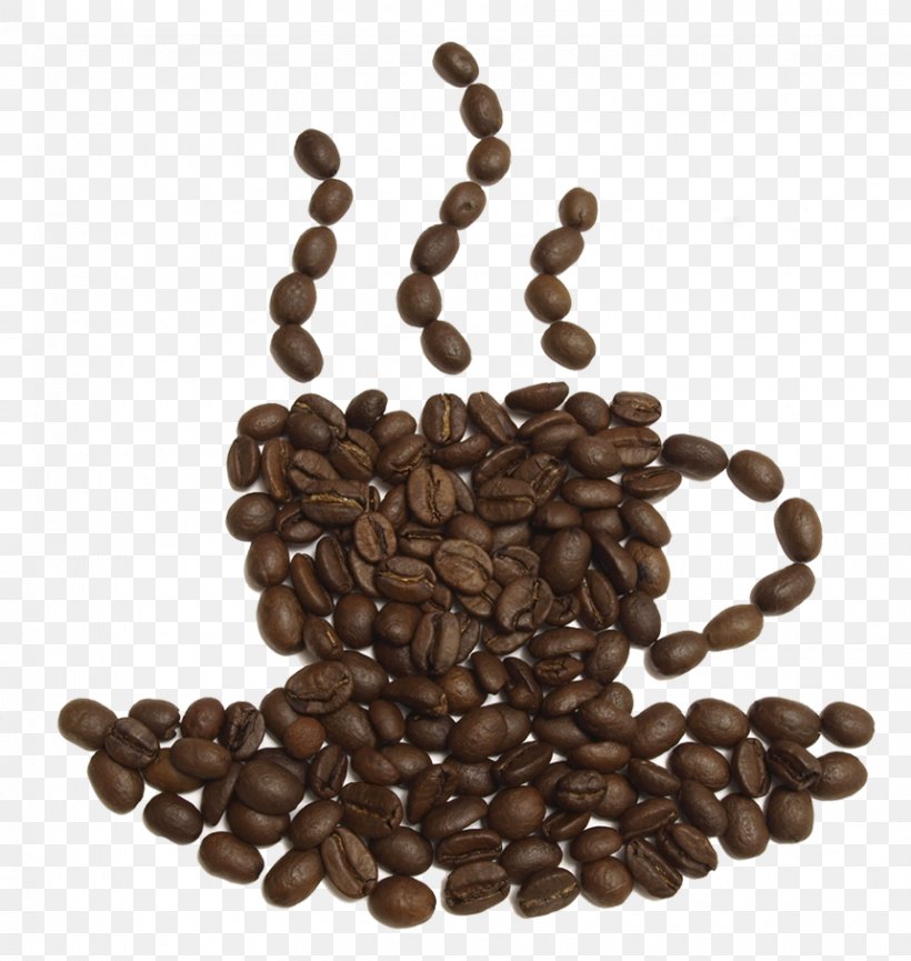 Coffee Bean Tea Latte Cafe, PNG, 860x908px, Coffee, Bean, Cafe, Caffeine, Coffee Bean Download Free