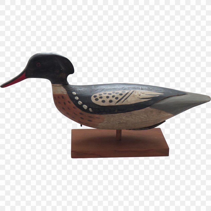 Duck Wood /m/083vt Beak, PNG, 1602x1602px, Duck, Beak, Bird, Ducks Geese And Swans, Water Bird Download Free