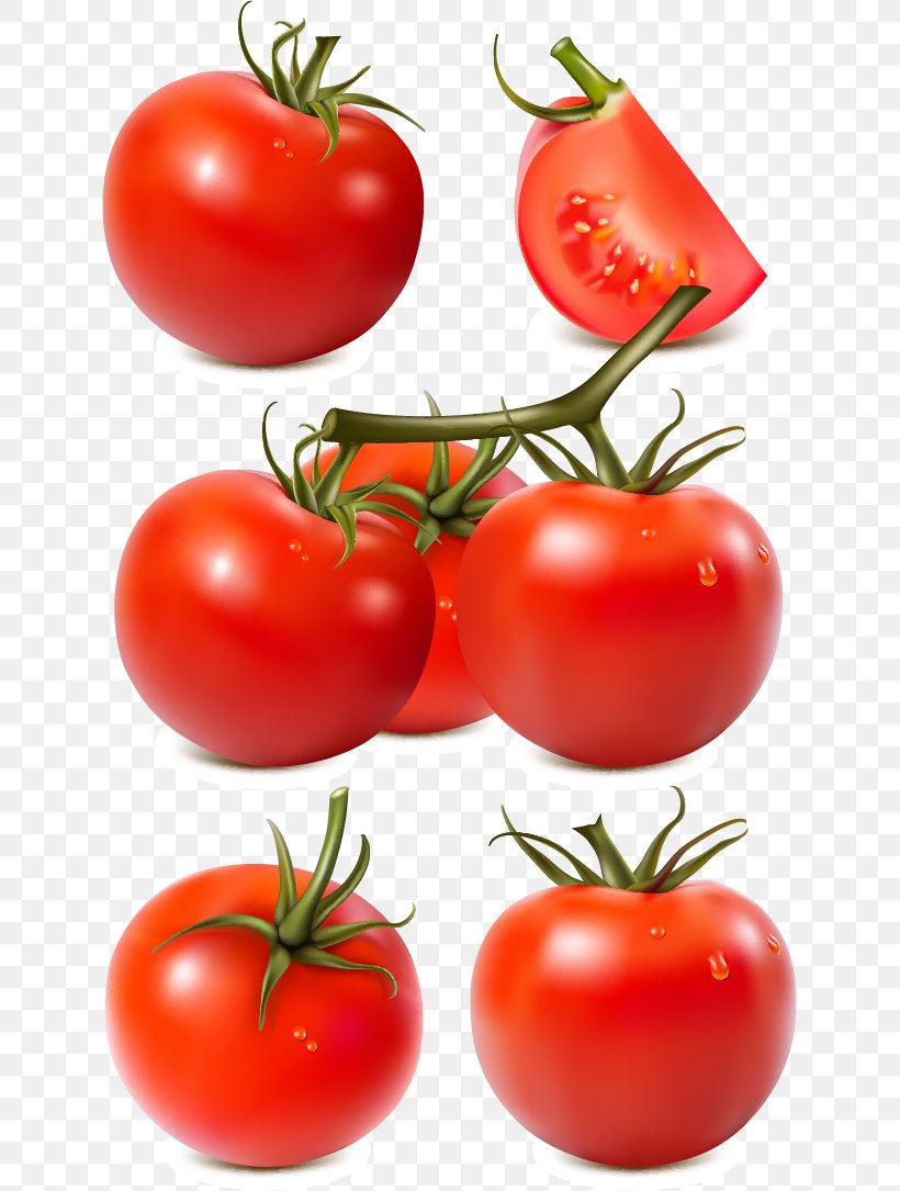 Tomato Sauce Vegetable Tomato Paste, PNG, 633x1085px, Tomato, Bush Tomato, Diet Food, Food, Fruit Download Free