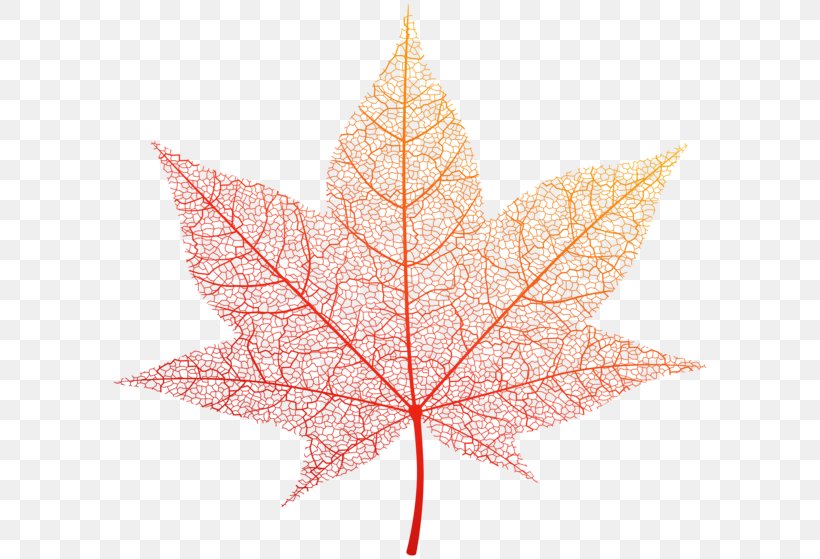 Autumn Leaf Color Clip Art, PNG, 600x559px, Autumn Leaf Color, Autumn, Bitmap, Image File Formats, Leaf Download Free
