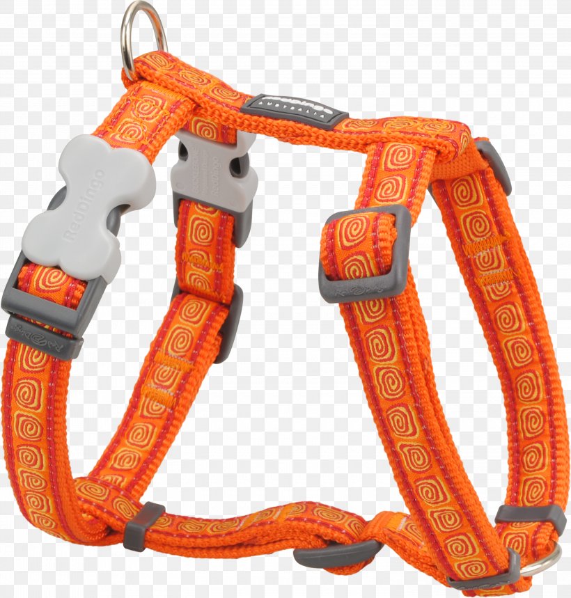 Dog Harness Dingo Dog Collar Leash, PNG, 3000x3145px, Dog, Collar, Dingo, Dog Collar, Dog Harness Download Free