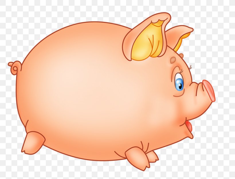 Domestic Pig Snout Ear Clip Art, PNG, 800x626px, Domestic Pig, Cartoon, Ear, Head, Nose Download Free