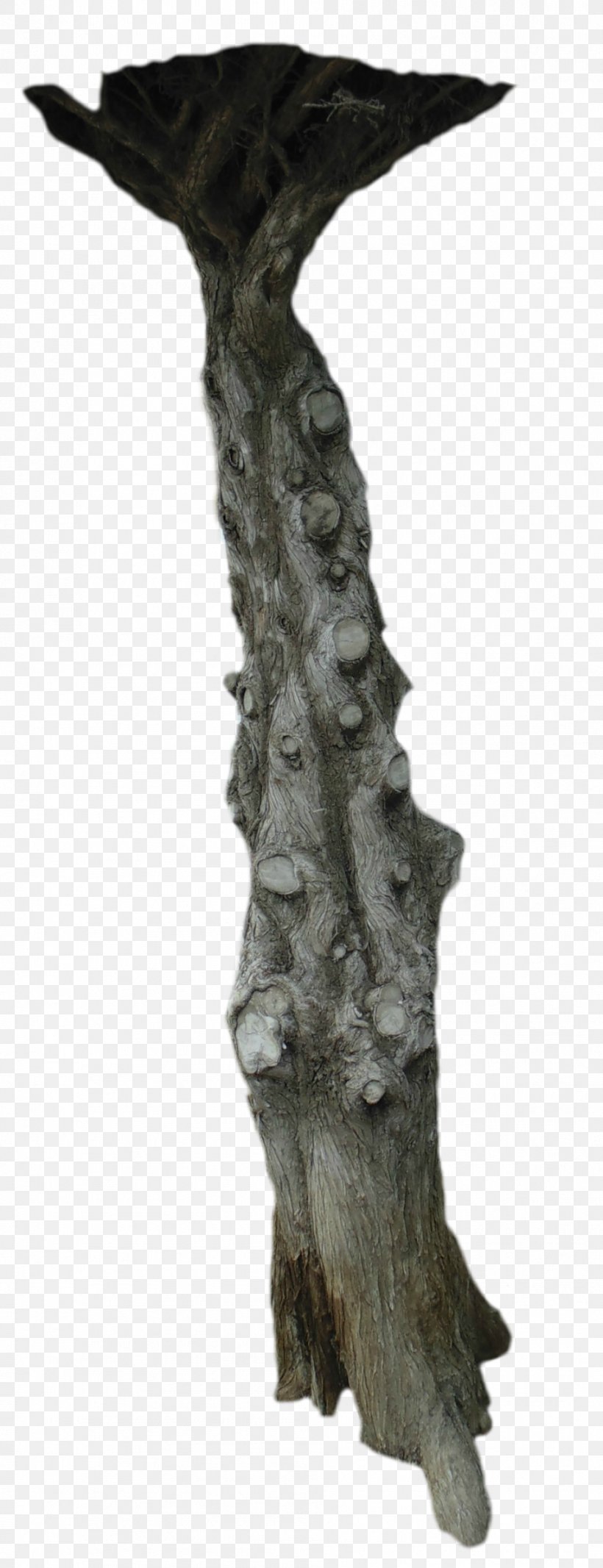 Trunk Tree, PNG, 953x2480px, Trunk, Branch, Deviantart, Photography, Sculpture Download Free