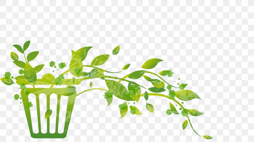 Leaf Greens Plant Stem Herb Font, PNG, 1920x1080px, Leaf, Arugula, Botany, Branch, Flower Download Free
