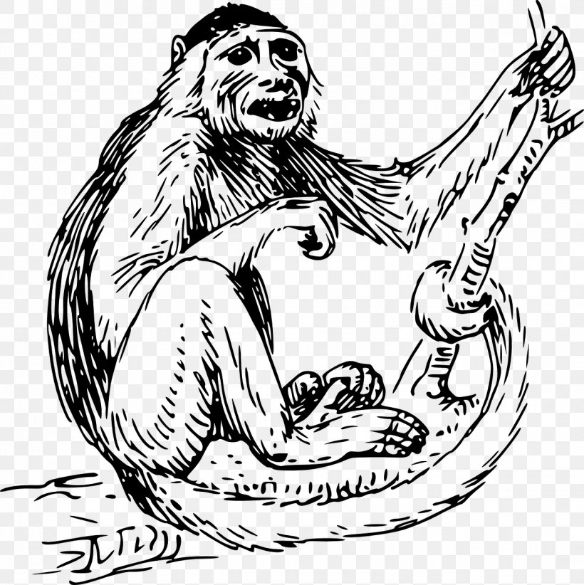Capuchin Monkey Clip Art, PNG, 1276x1280px, Watercolor, Cartoon, Flower, Frame, Heart Download Free