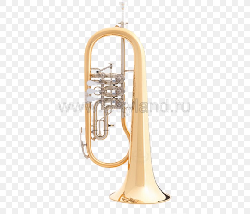 Cornet Flugelhorn Saxhorn Brass Instruments Euphonium, PNG, 597x700px, Watercolor, Cartoon, Flower, Frame, Heart Download Free