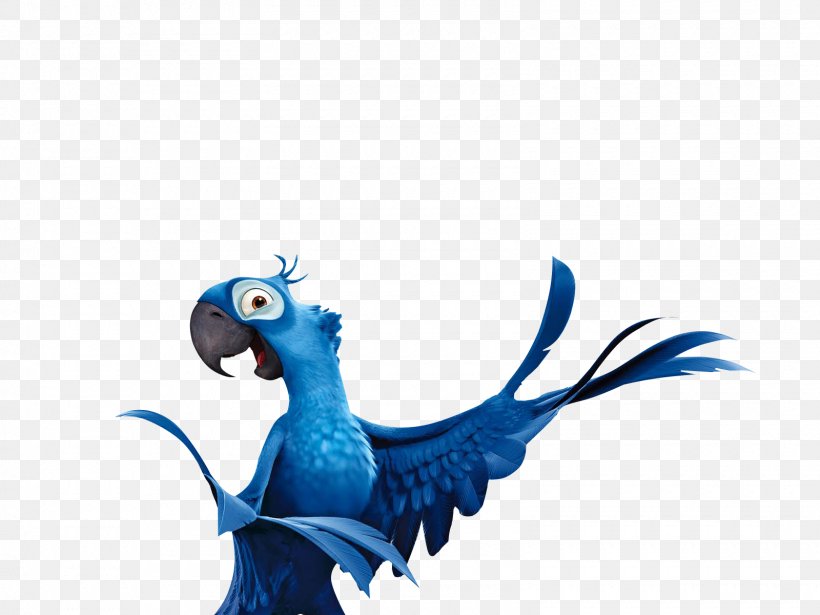Rio De Janeiro Jewel Parrot Blu Bird, PNG, 1600x1200px, Rio De Janeiro, Animation, Beak, Bird, Blu Download Free