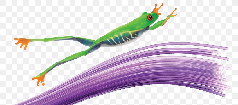 Telus Optical Fiber Internet Service Provider Mobile Phones, PNG, 820x362px, Telus, Amphibian, Business, Fiber, Frog Download Free