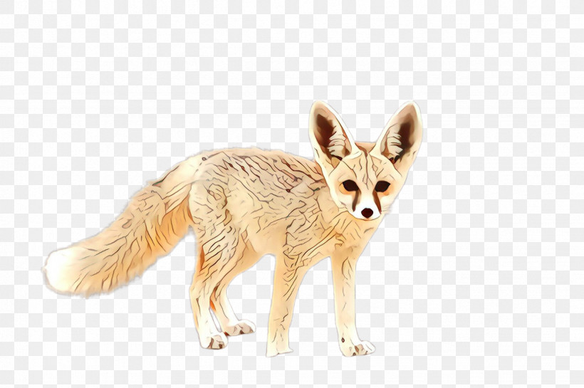 Fennec Fox Fox Swift Fox Jackal Wildlife, PNG, 2452x1632px, Fennec Fox, Fawn, Fox, Fur, Jackal Download Free