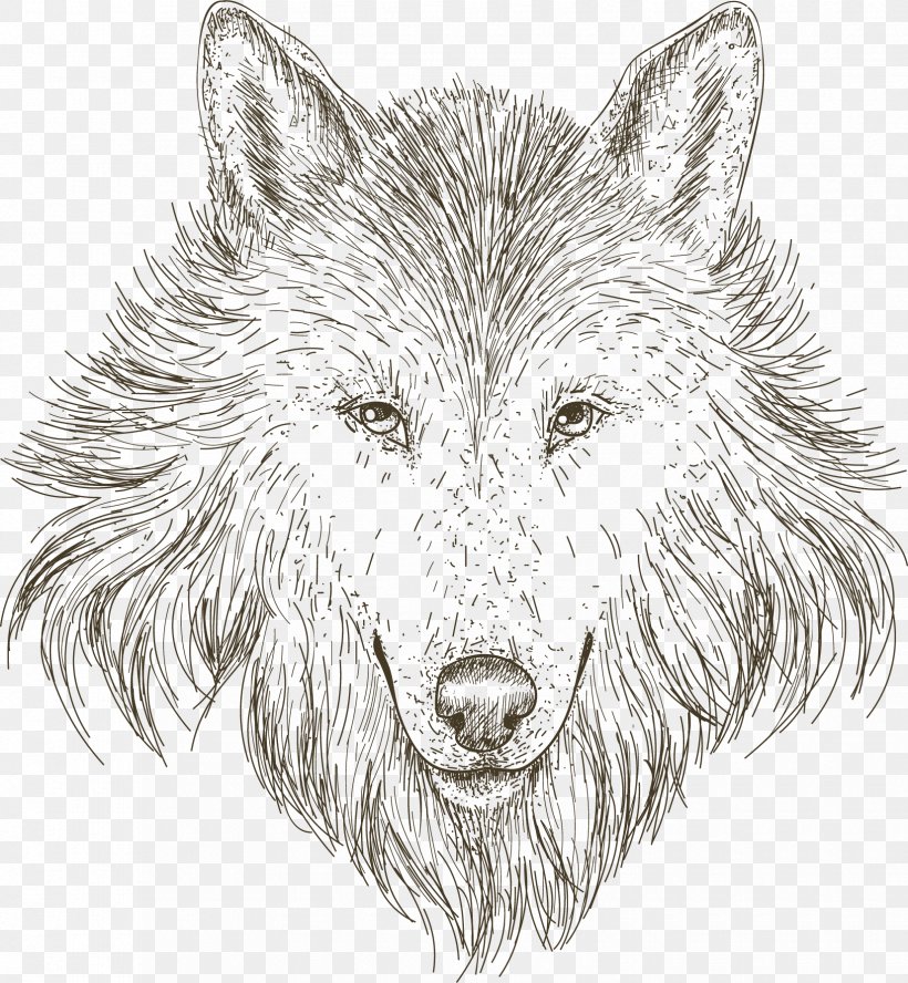 Gray Wolf Drawing Sketch, PNG, 1650x1788px, Gray Wolf, Artwork, Black And White, Carnivoran, Cartoon Download Free