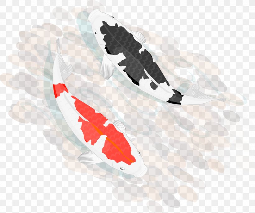 Koi Tachibana Japanese Restaurant Carp Clip Art, PNG, 1661x1384px, Koi, Carp, Drawing, Feather, Hoa Lan Download Free