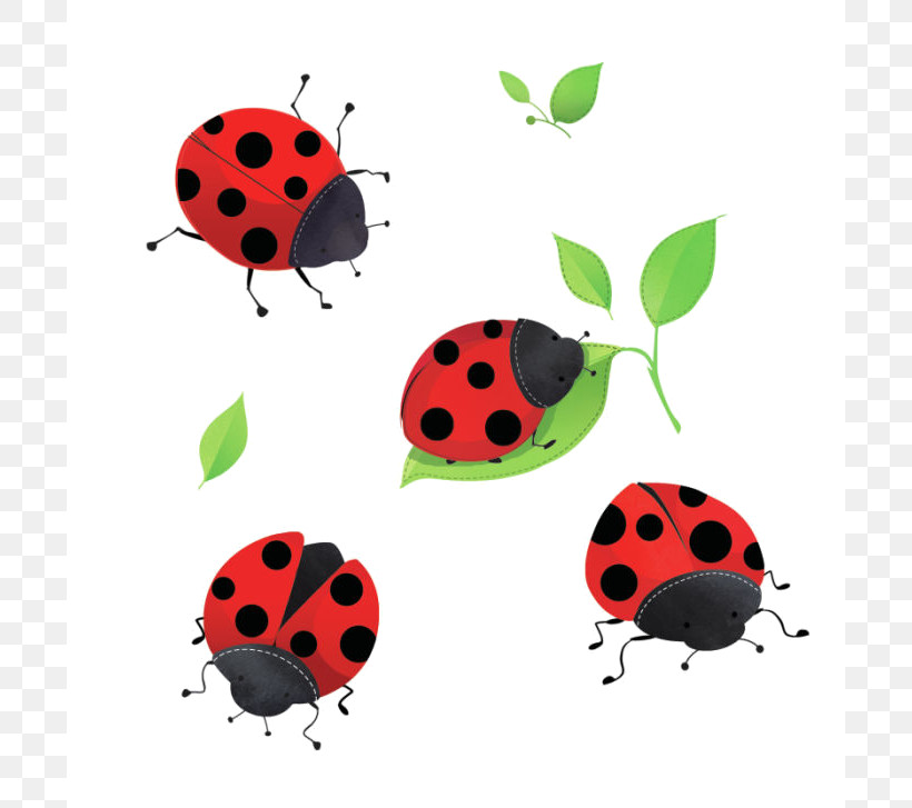 Ladybug, PNG, 700x727px, Ladybug, Beetle, Insect, Leaf Beetle, Plant Download Free