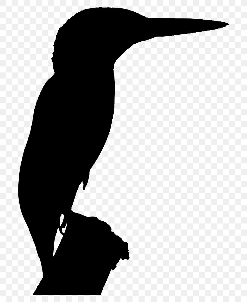 Silhouette Belted Kingfisher Clip Art, PNG, 734x1000px, Silhouette, Beak, Belted Kingfisher, Bird, Black Download Free