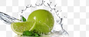 Lime Splash Transparent Background - Advertising Agency Business Company Creativity PNG