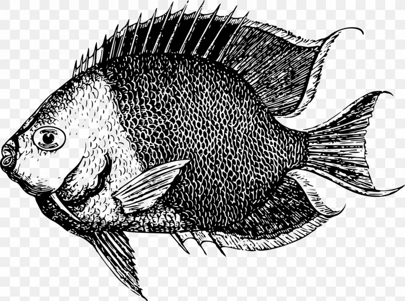 Fishing, PNG, 1280x952px, Fish, Black And White, Drawing, Fauna, Fisherman Download Free