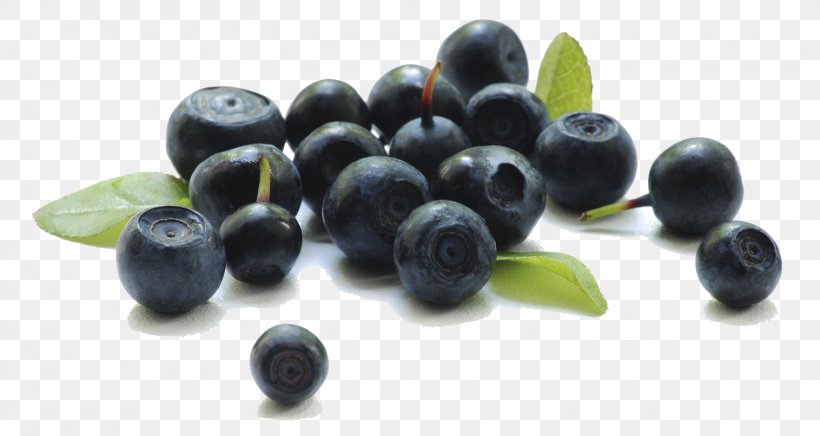 Frutti Di Bosco Blueberry University Of British Columbia, PNG, 1516x807px, Frutti Di Bosco, Berry, Bilberry, Blueberry, Display Resolution Download Free