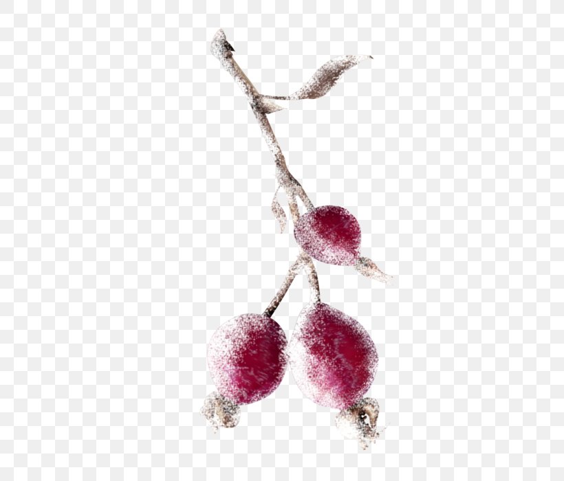 Auglis Branch Berry Clip Art, PNG, 454x700px, Auglis, Berry, Branch, Food, Fruit Download Free