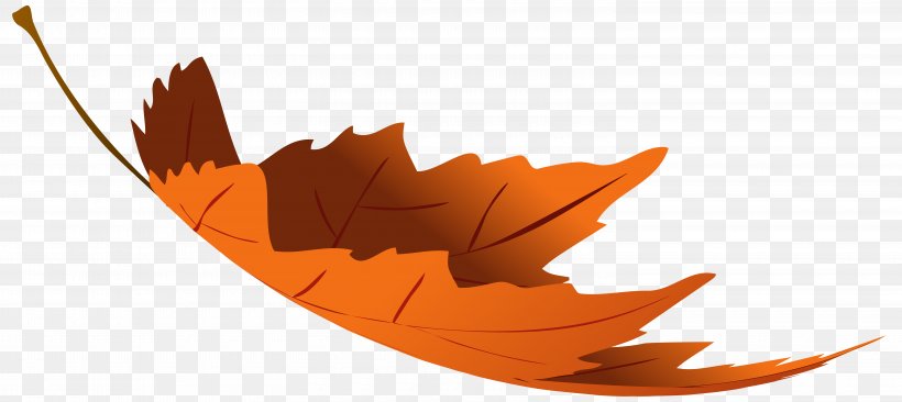 Autumn Leaf Color Autumn Leaf Color Clip Art, PNG, 6000x2683px, Leaf, Autumn, Autumn Leaf Color, Color, Digital Image Download Free