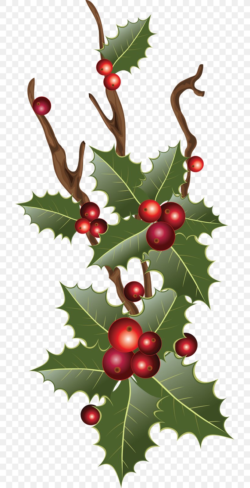 Garland Christmas Decoration Christmas Ornament Christmas Tree, PNG, 719x1600px, Garland, Aquifoliaceae, Aquifoliales, Berry, Birthday Download Free